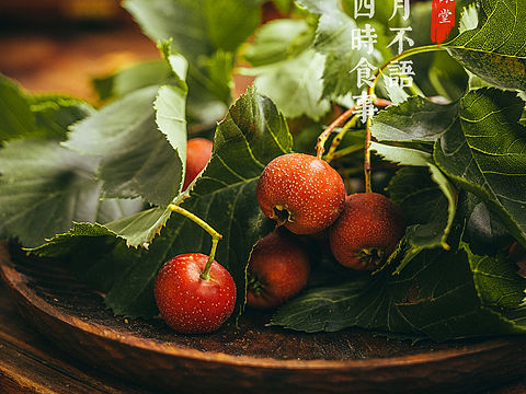 旧食｜山楂