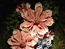 室內(nèi)植物景墻