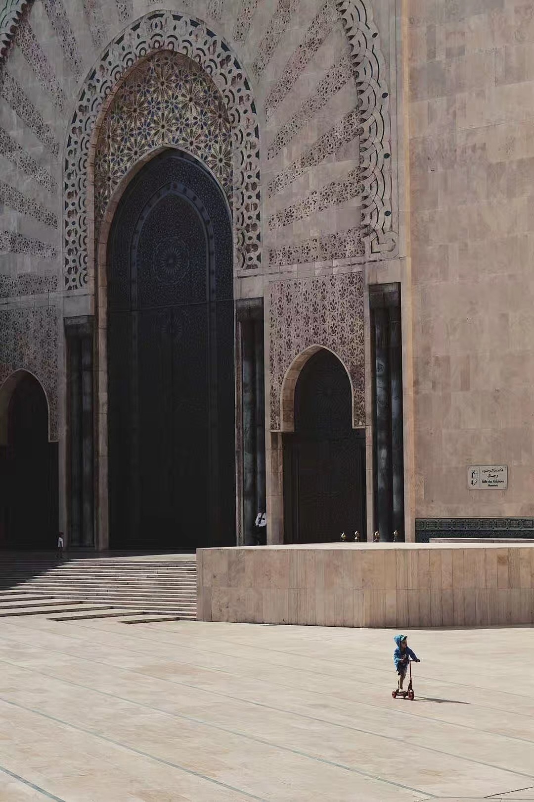 CASSILE-Summer Campaign