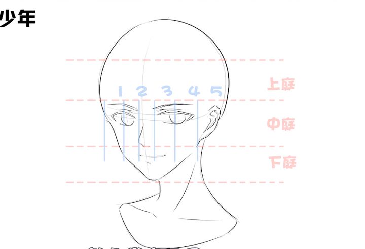 动漫人物脸部结构图图片