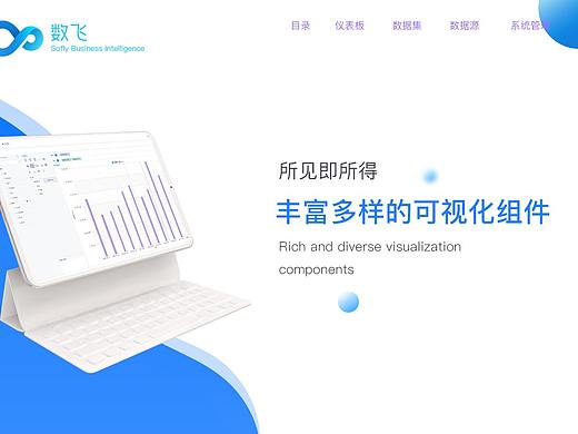 公司商业BI的项目,做了四个扁平化的设计