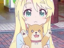 初學(xué)者日常作業(yè)！