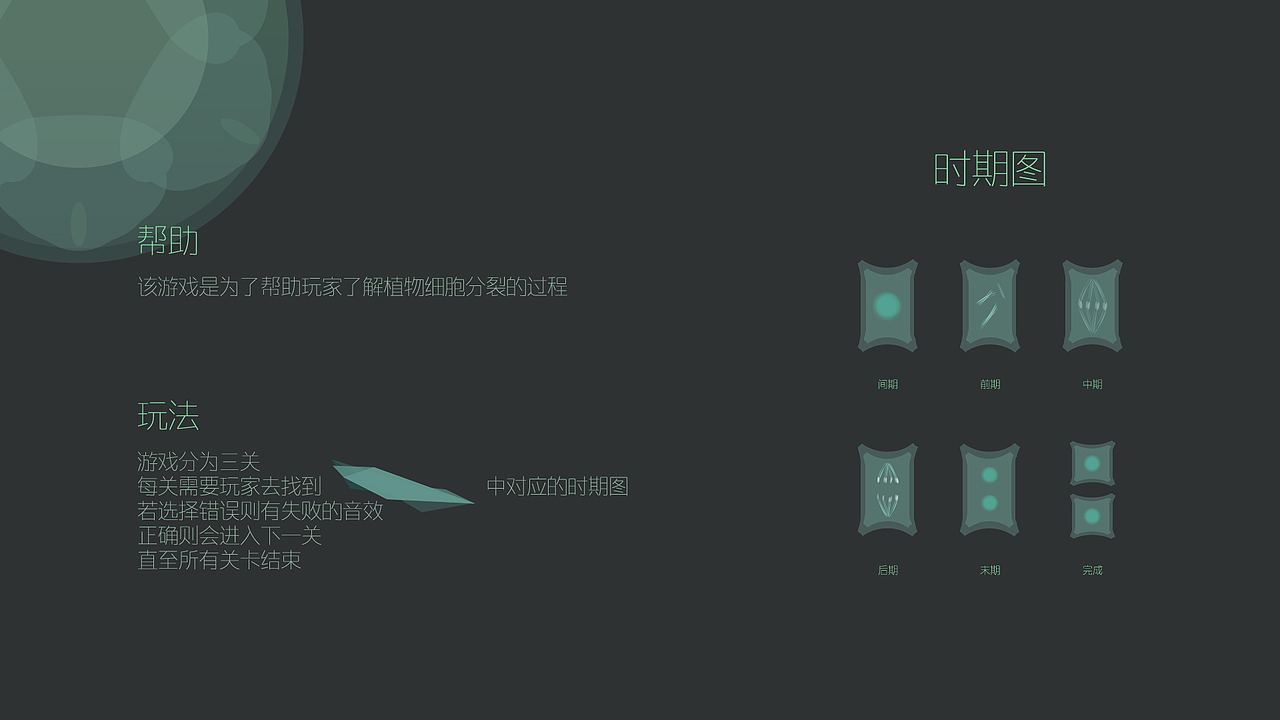 植物细胞分裂游戏UI(教学用）