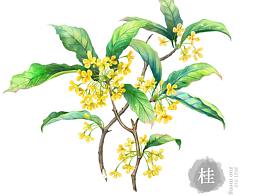 花