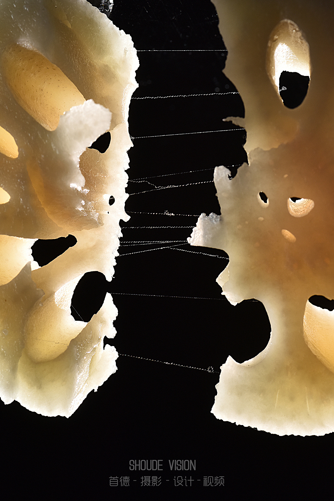 来一组蔬菜集合