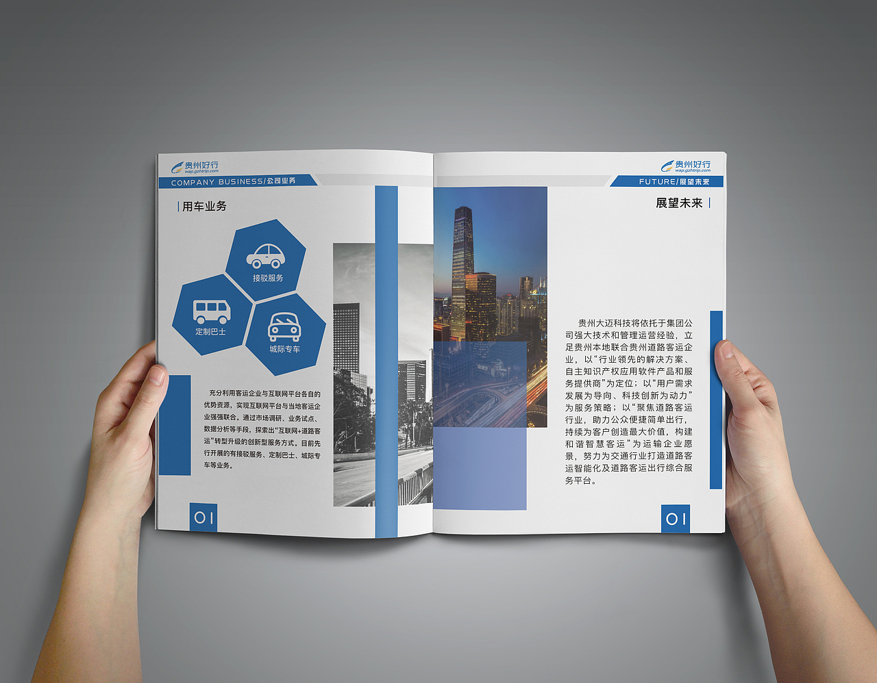 大迈科技画册（图ZODI5NDQ4NzY=） - 书籍/画册 - 站酷设计师搁浅如此浅显原创素材 - 站酷ZCOOL