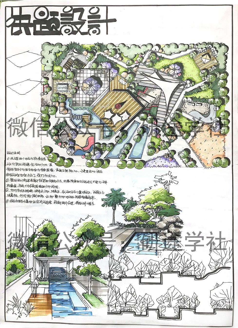 西农风景园林快题