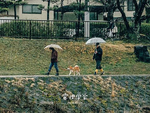 你好京都  | Photo | 雾里学家scientis | 14