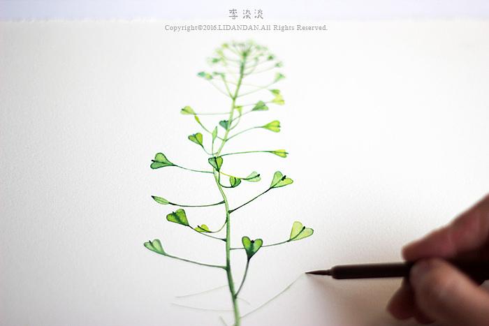 如植物般自由生长