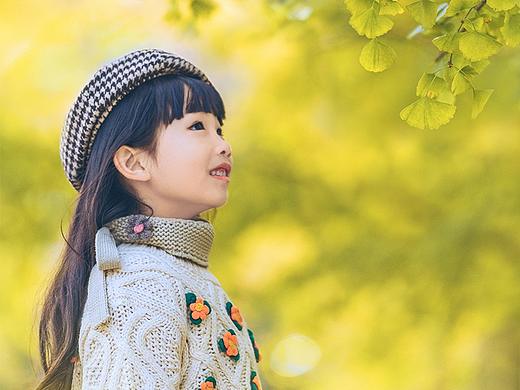 银杏树下