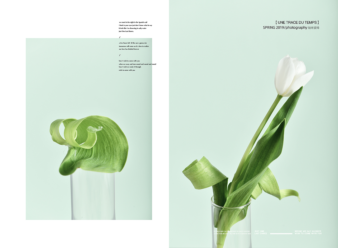 【对色的执念--观己观心】（图ZMTU4NDYzNzMy） - 产品摄影 - 站酷设计师瞌睡蜜蜂原创素材 - 站酷ZCOOL