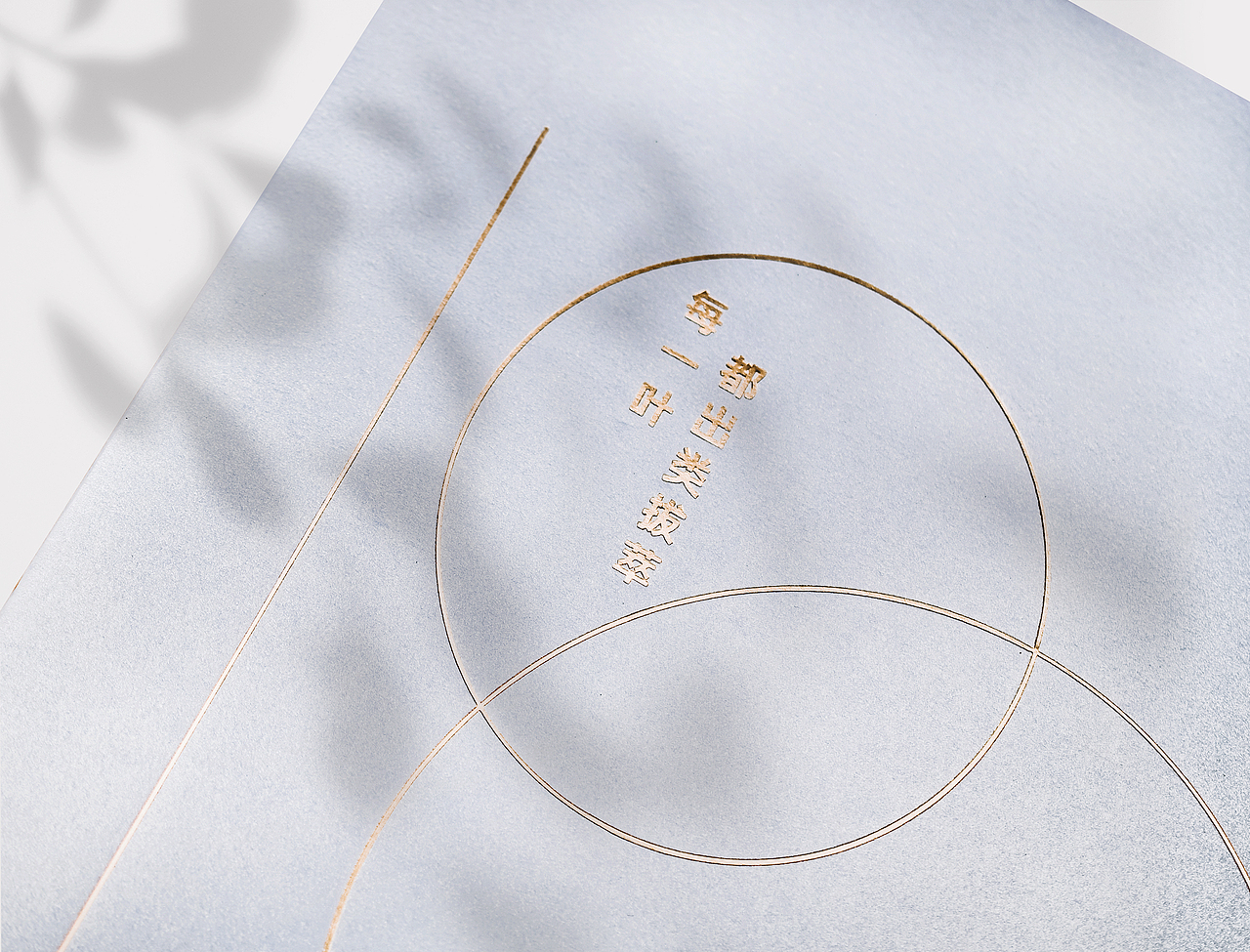 有惑茶业×唐月文化 |“白里挑一”白茶系列