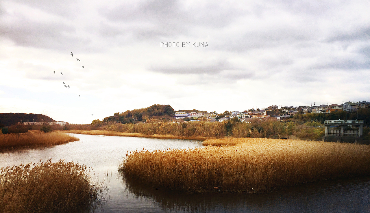 不太喜欢那个栏杆，有人去掉了少了一个层次，貌似也有道理，不过还是不喜欢。最后裁剪，感觉照片的长宽比还是蛮重要的，然后调节了些整体的色温，右下边冷一些，左上角暖一些。加了几只鸟 貌似更有灵气，给原本宁静的气氛增加了一丝动态 （其实，加鸟只是做多了建筑效果图的后遗症） - -#
<br>——————————————————————————————————