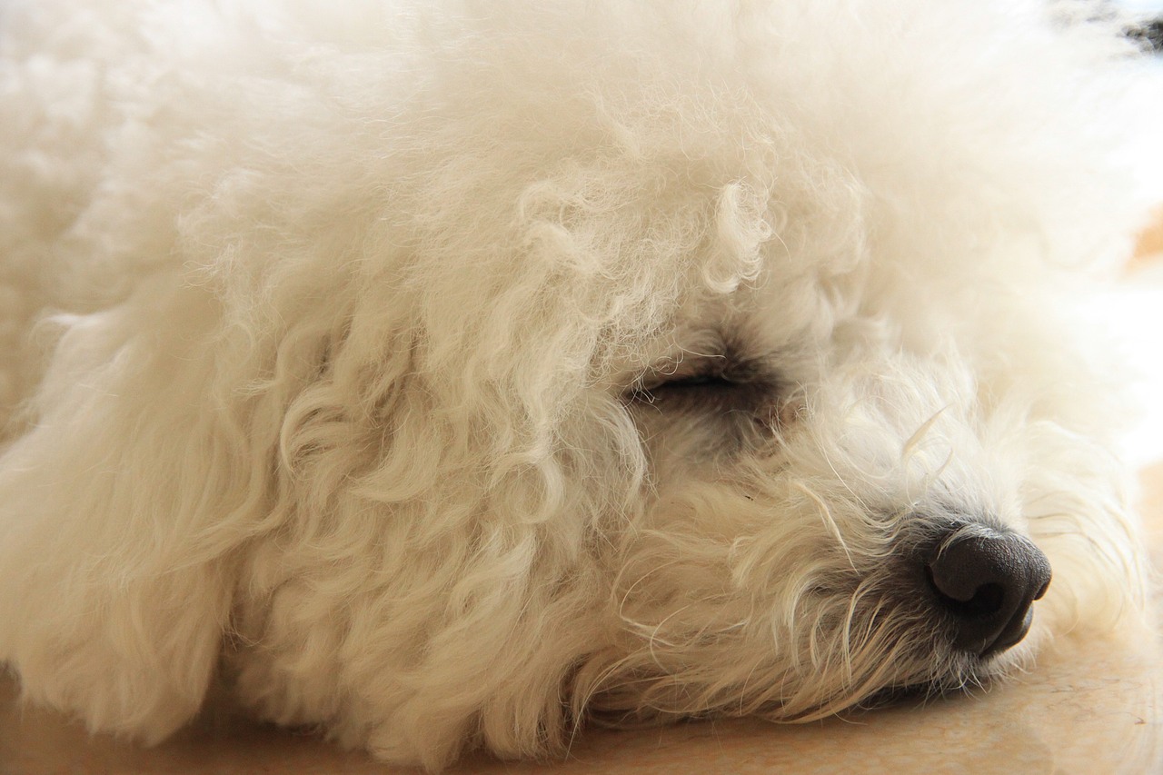 这些年存的照片