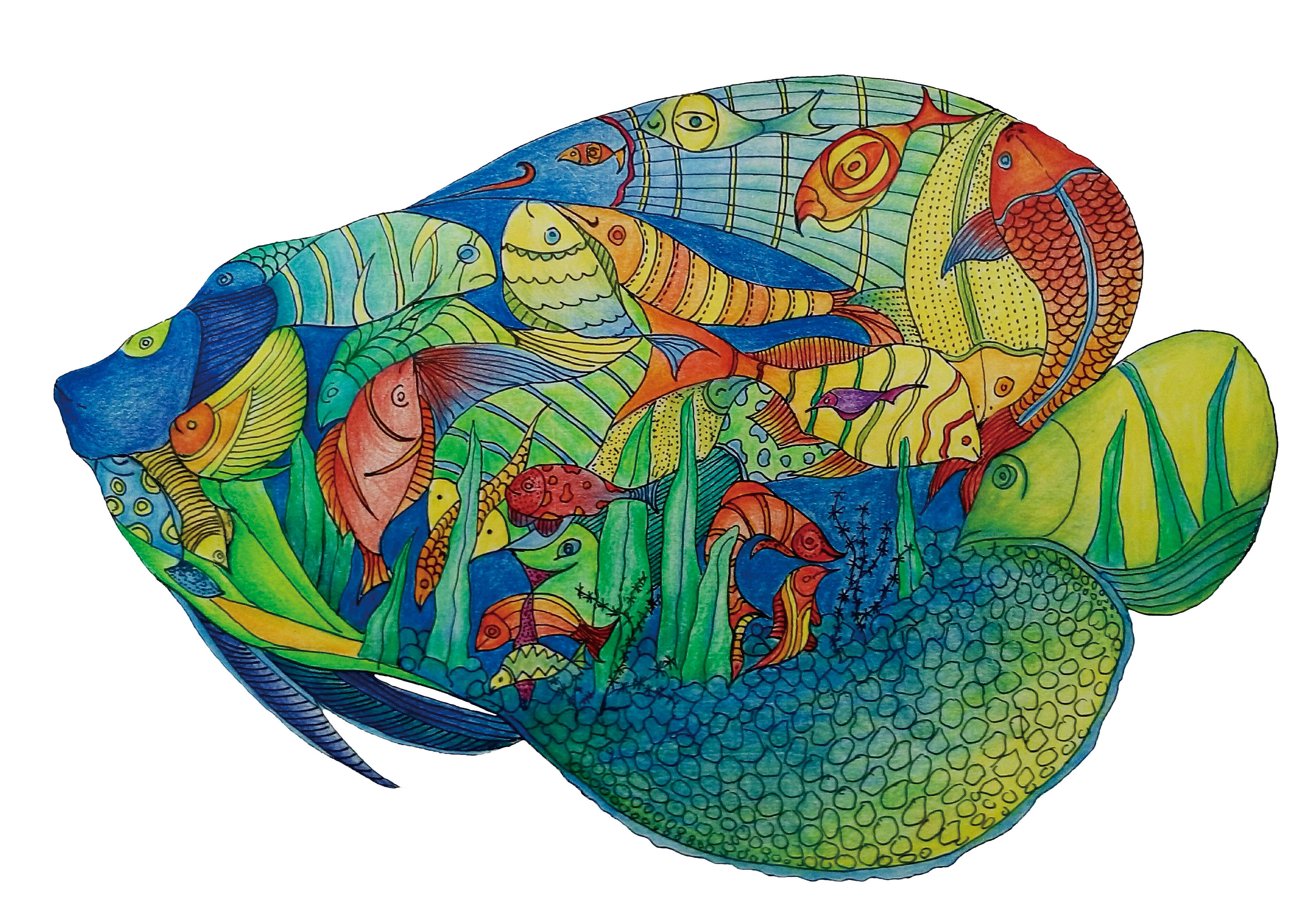 《好多鱼》|插画|插画习作|点线面dxm - 原创作品 - 站酷 (zcool)