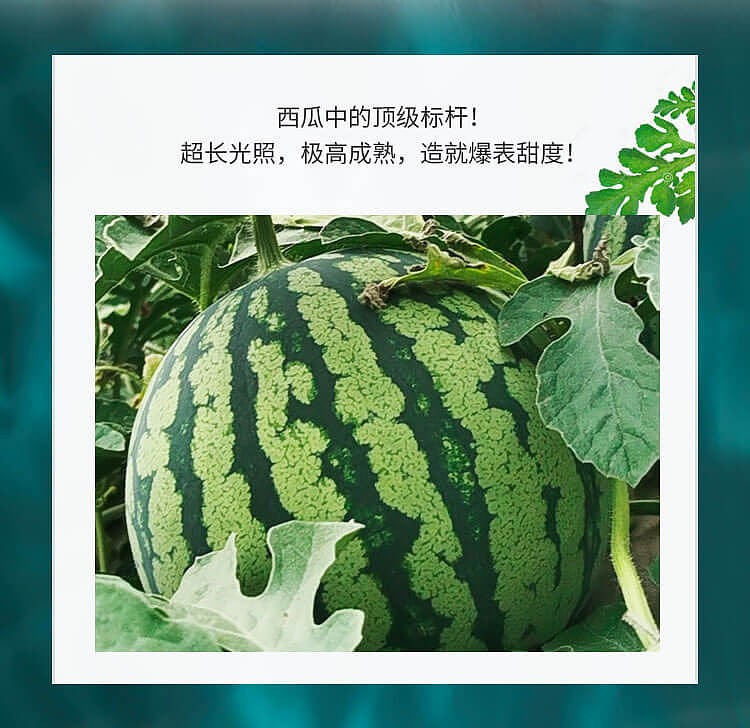 水果小程序项目已上线（图ZMjIyNDYwNzI0） - APP界面 - 站酷设计师董公举原创素材 - 站酷ZCOOL