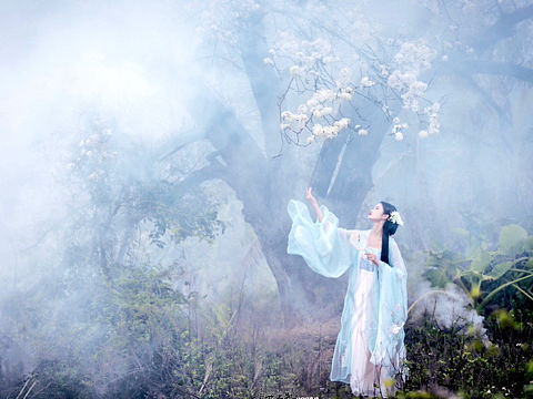 梨花（個人主頁-ZNjM3MjM0ODg=） - 人像攝影 - 站酷設(shè)計師米妮疊影原創(chuàng)素材 - 站酷ZCOOL