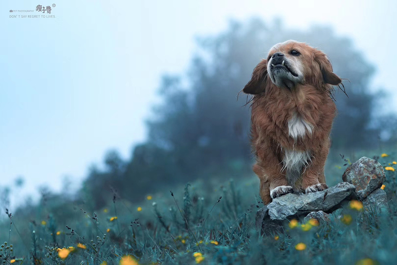 「云南站」十五岁的大宝贝~