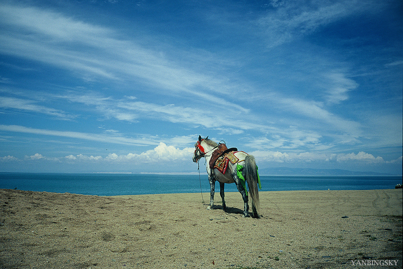 行迹2010-2012（图ZMzg3MDIzOTY=） - 风光摄影 - 站酷设计师YANBINGSKY原创素材 - 站酷ZCOOL