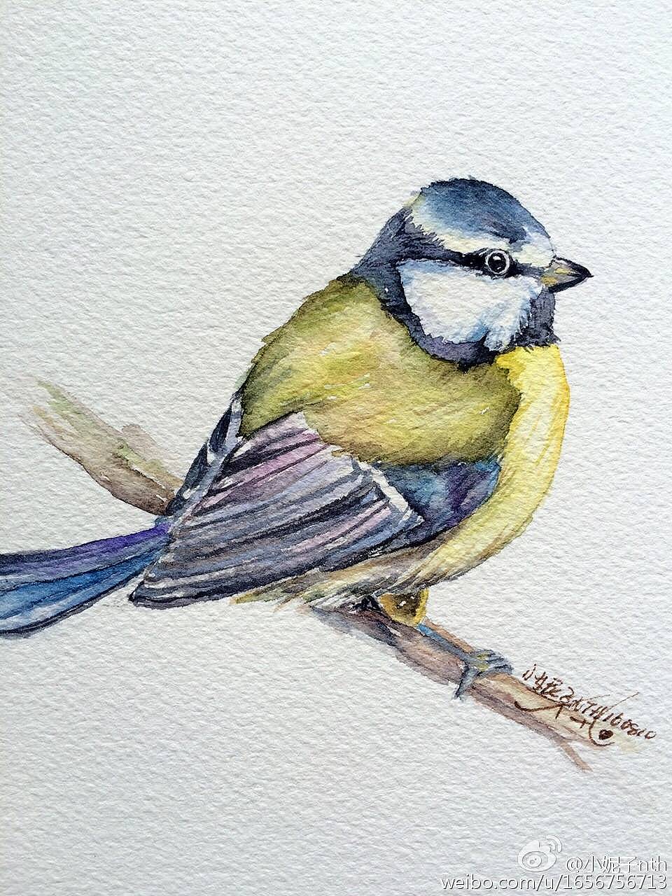 15/100 百鸟图系列一