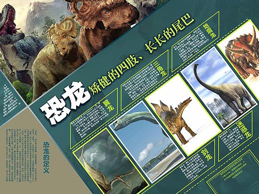 探秘古生物图书版式设计