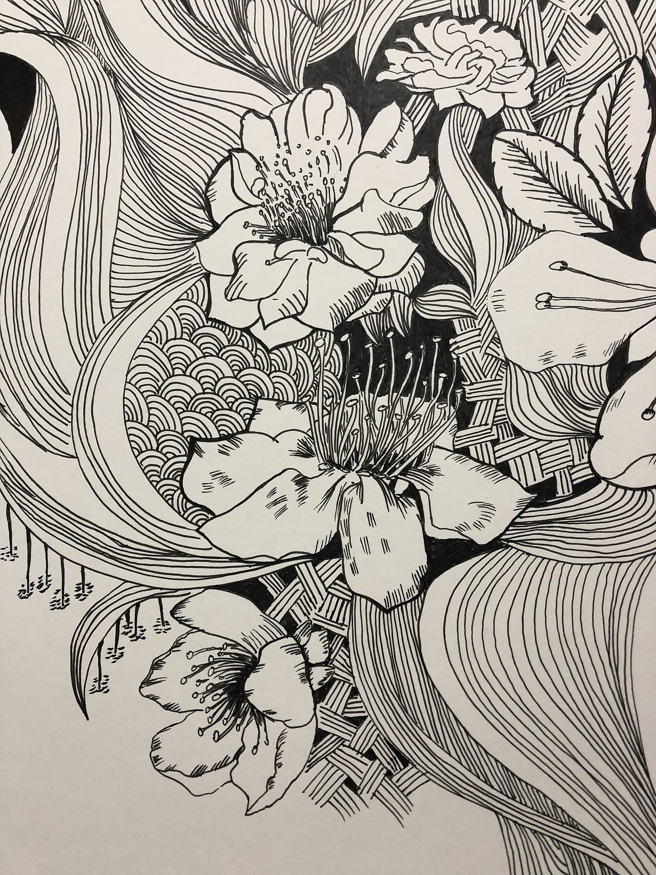 几张缠绕画作业