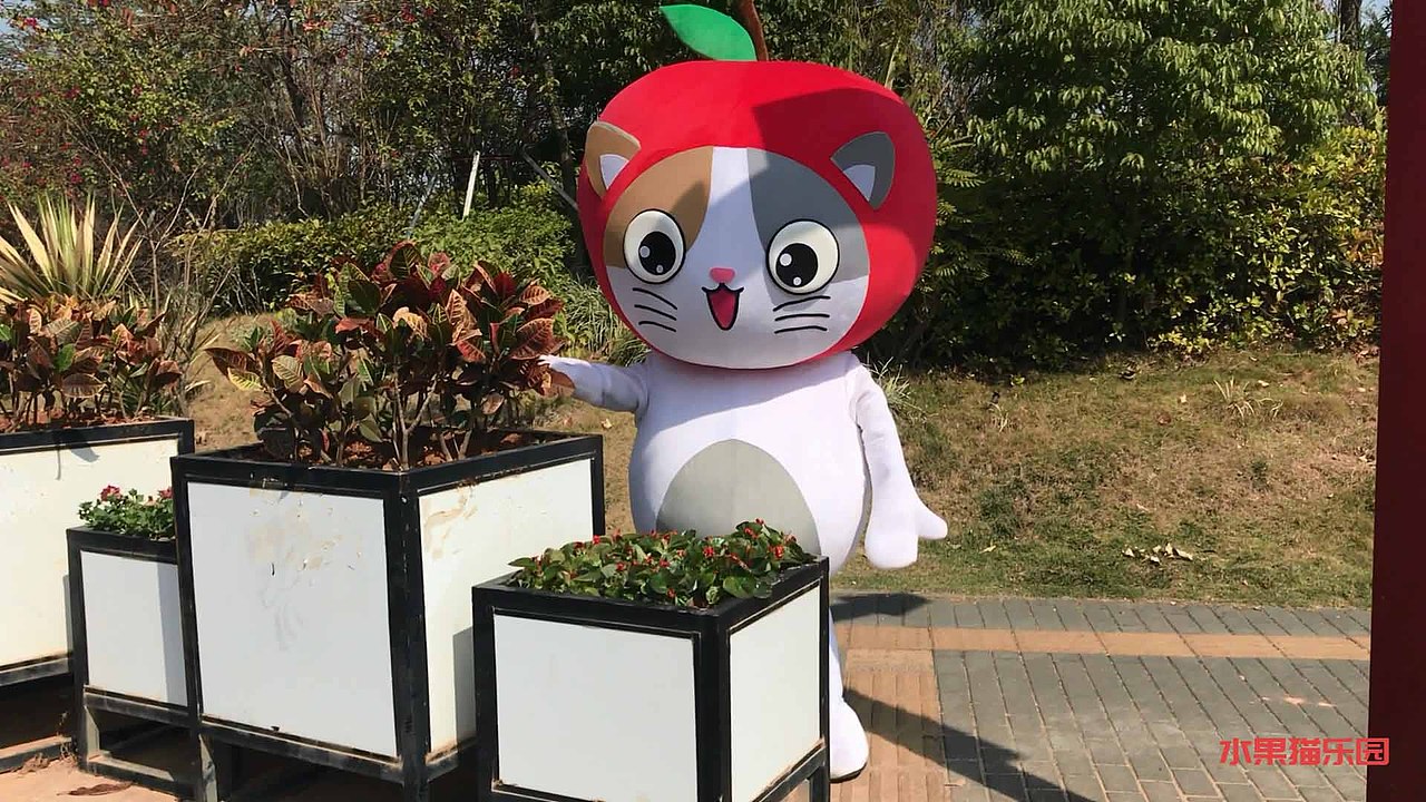 苹果猫人偶--在公园里疯（图ZMTA3MDIyNDE2） - 其他摄影 - 站酷设计师水果猫乐园原创素材 - 站酷ZCOOL