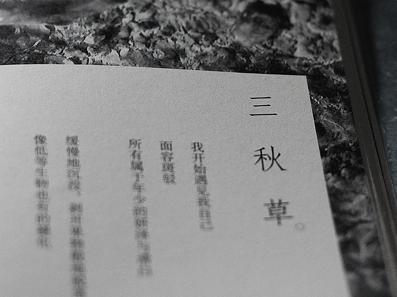 柔荑花序 Catkin(图ZMjAwNDYxMDA=) - 书籍/画册 - 站酷设计师eversong原创素材 - 站酷ZCOOL