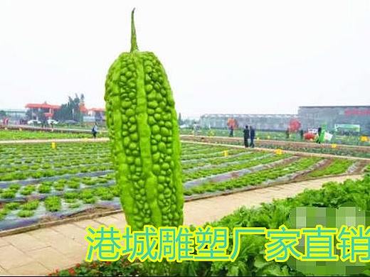 绿色生态观光园种植蔬菜模型玻璃钢仿真苦瓜凉瓜雕塑厂