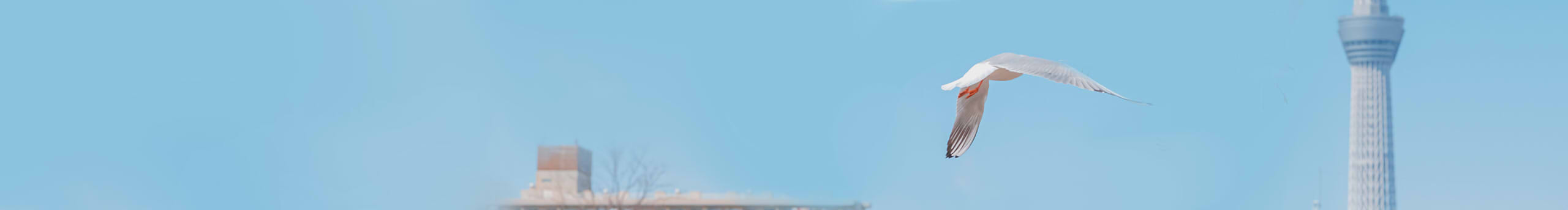 洛夢知多少的個(gè)人主頁（封面預(yù)覽） - 主頁封面設(shè)置 - 站酷設(shè)計(jì)師洛夢知多少原創(chuàng)素材 - 站酷ZCOOL