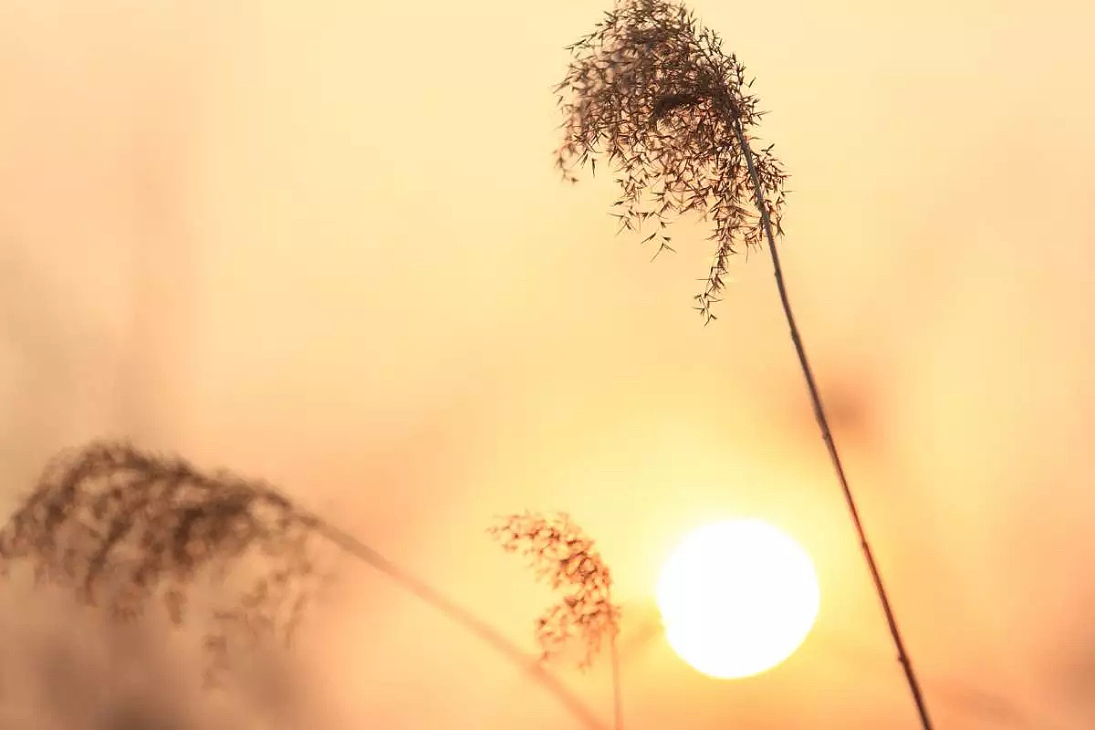 2015的行走-—风景 小品