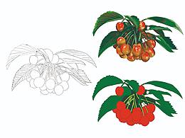 水果插画