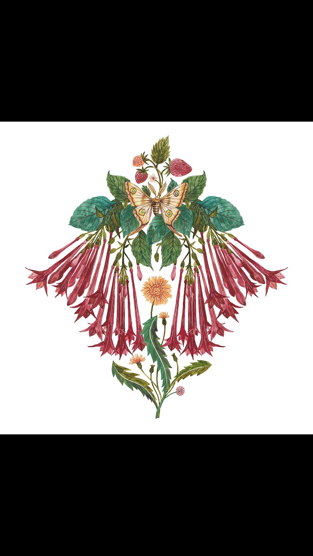 植物|插画|创作习作|颜无wu - 原创作品 - 站酷 (zcool)