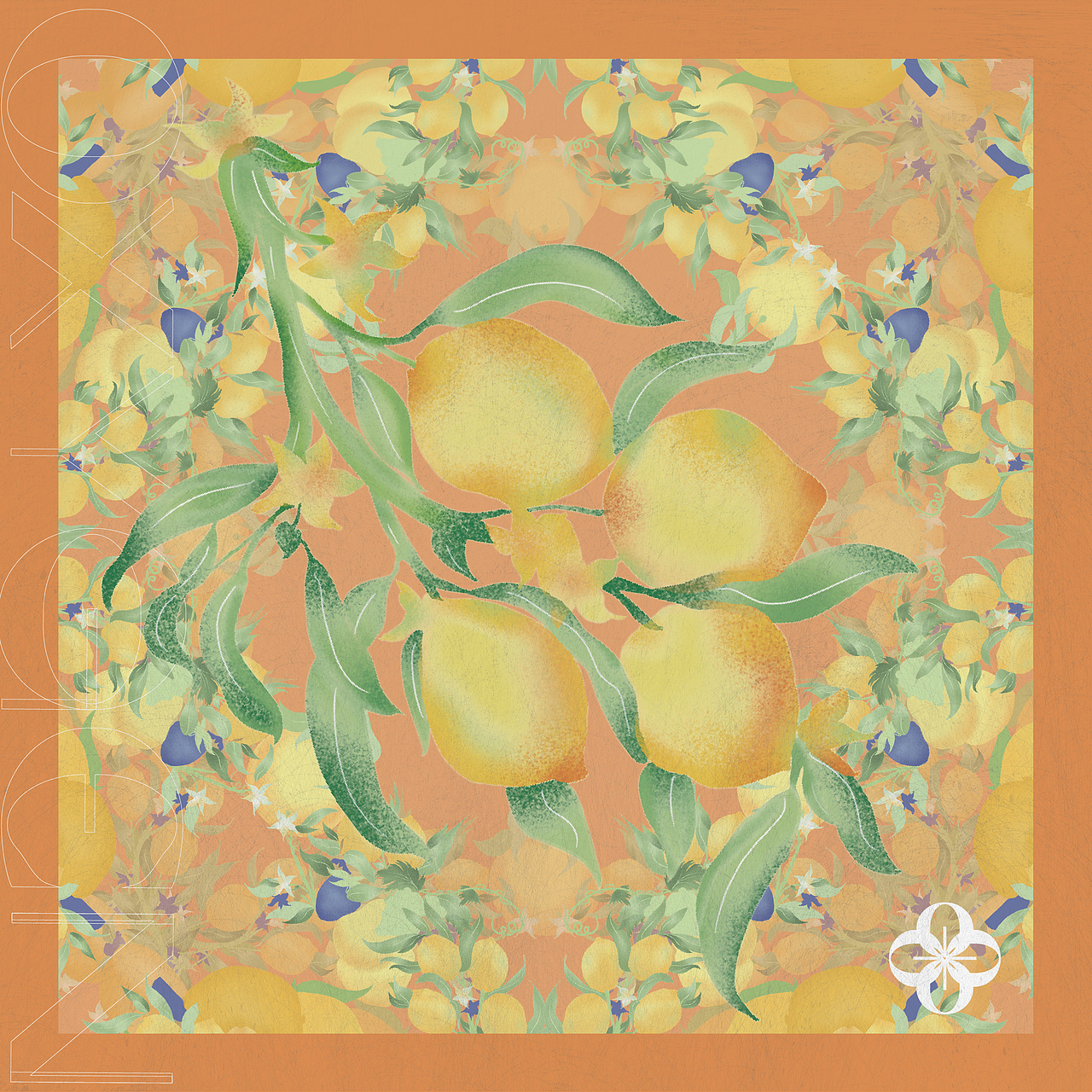 OXYGEN/呼氧气护肤品牌平面设计-个人练习