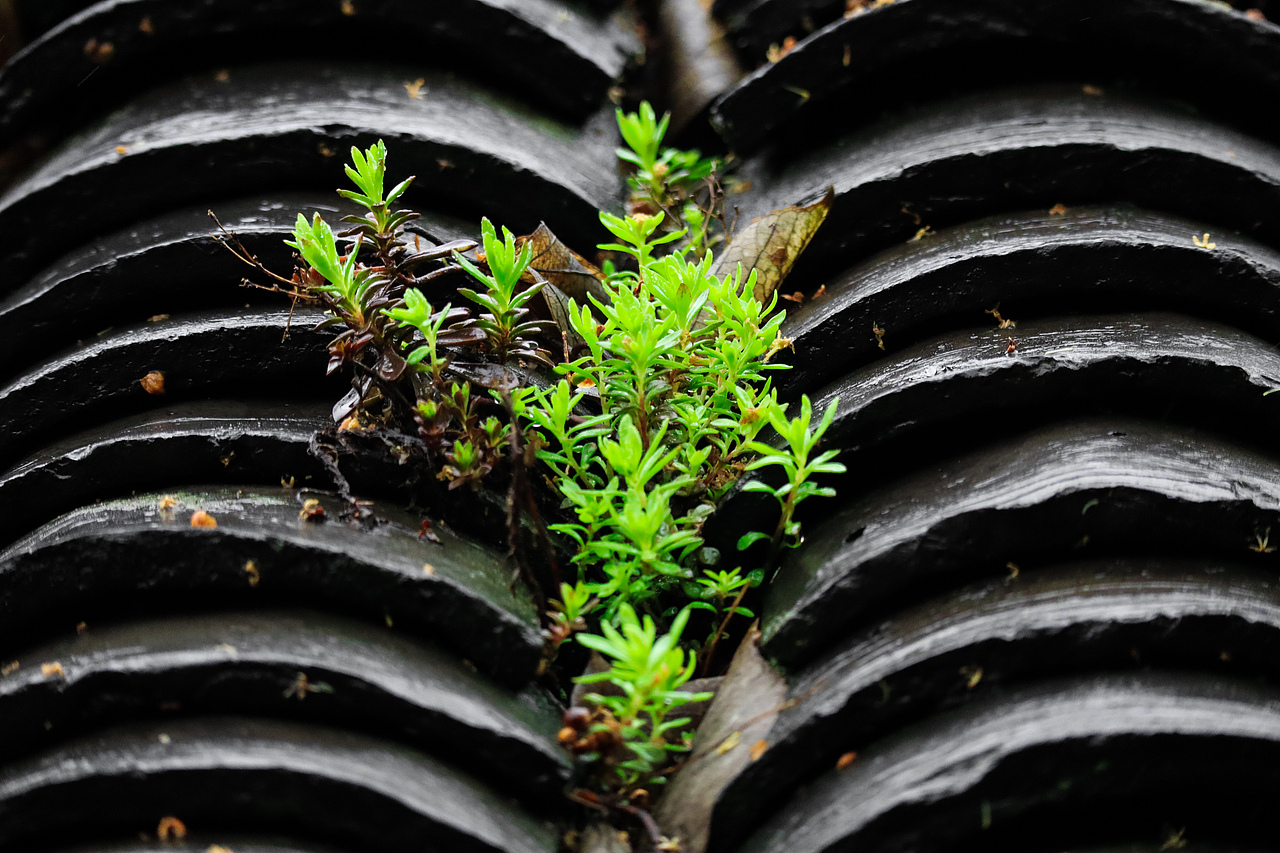 春日迟迟语（图ZMzAxMzMwMDE2） - 风光摄影 - 站酷设计师ouou欧原创素材 - 站酷ZCOOL