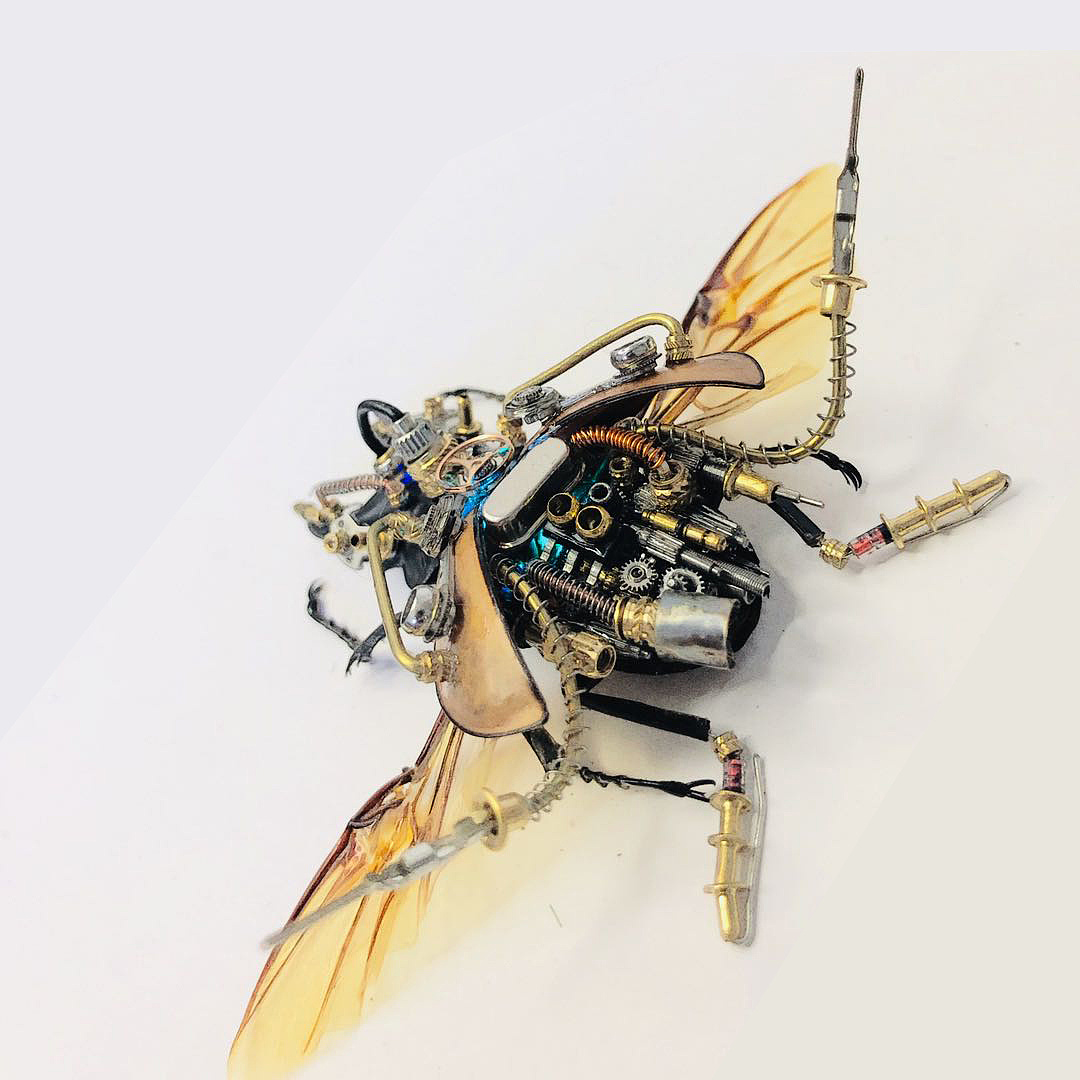 蒸汽朋克昆虫,三色鬼艳