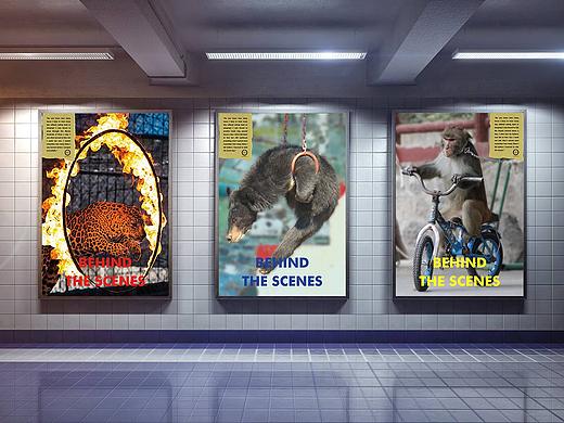 拒绝虐待性动物表演 公益广告