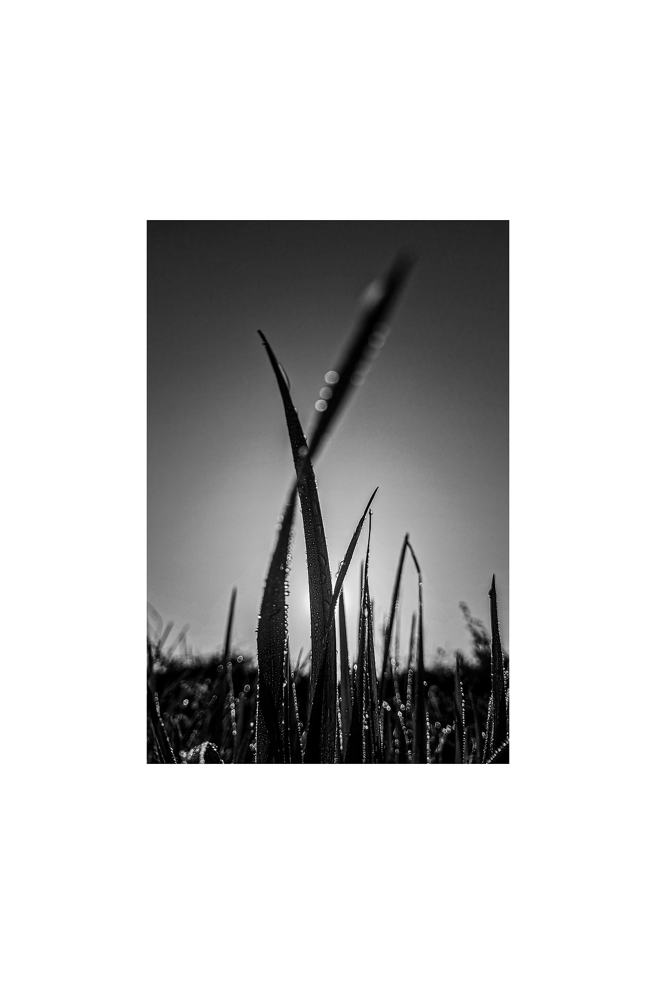 2021 | 我的年度手机照片总结