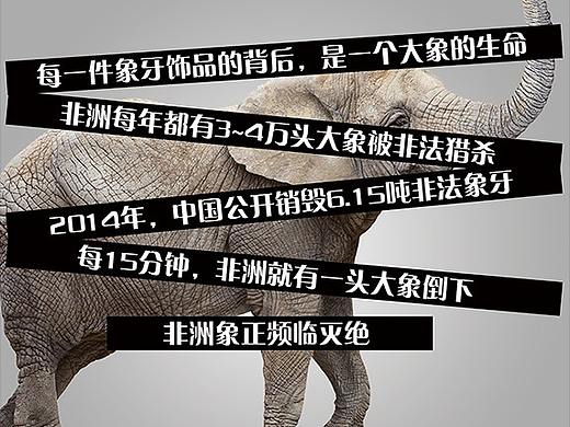 Only elephants can have Ivory