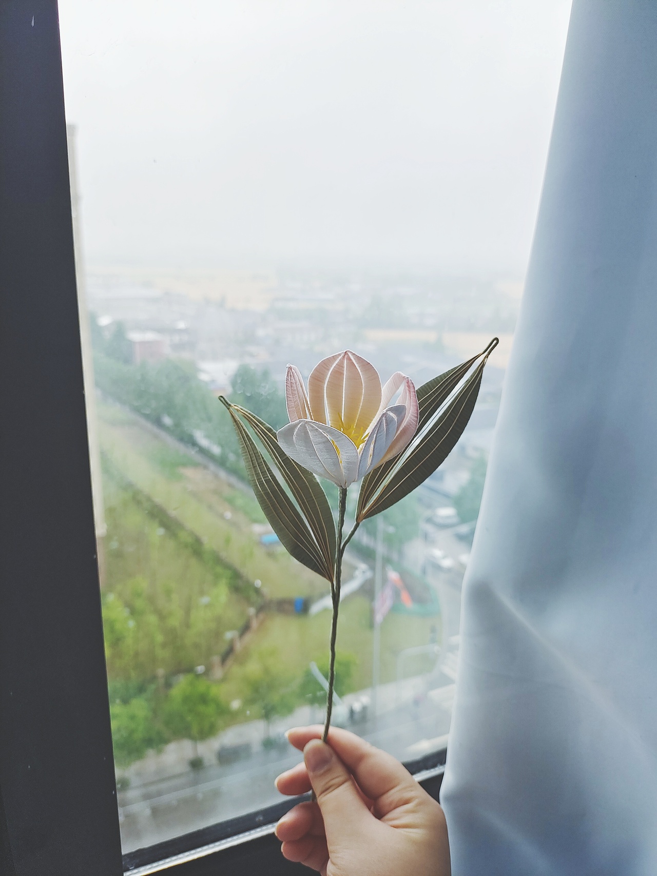 做一束永不凋零的花