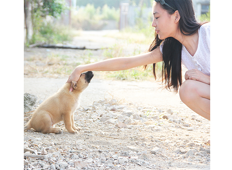 朋友与她的朋友