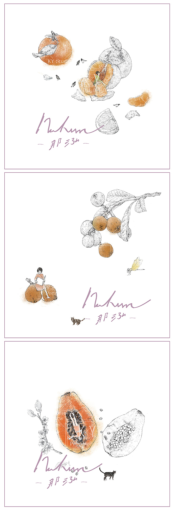 胶带［fruit kingdom]水果插画