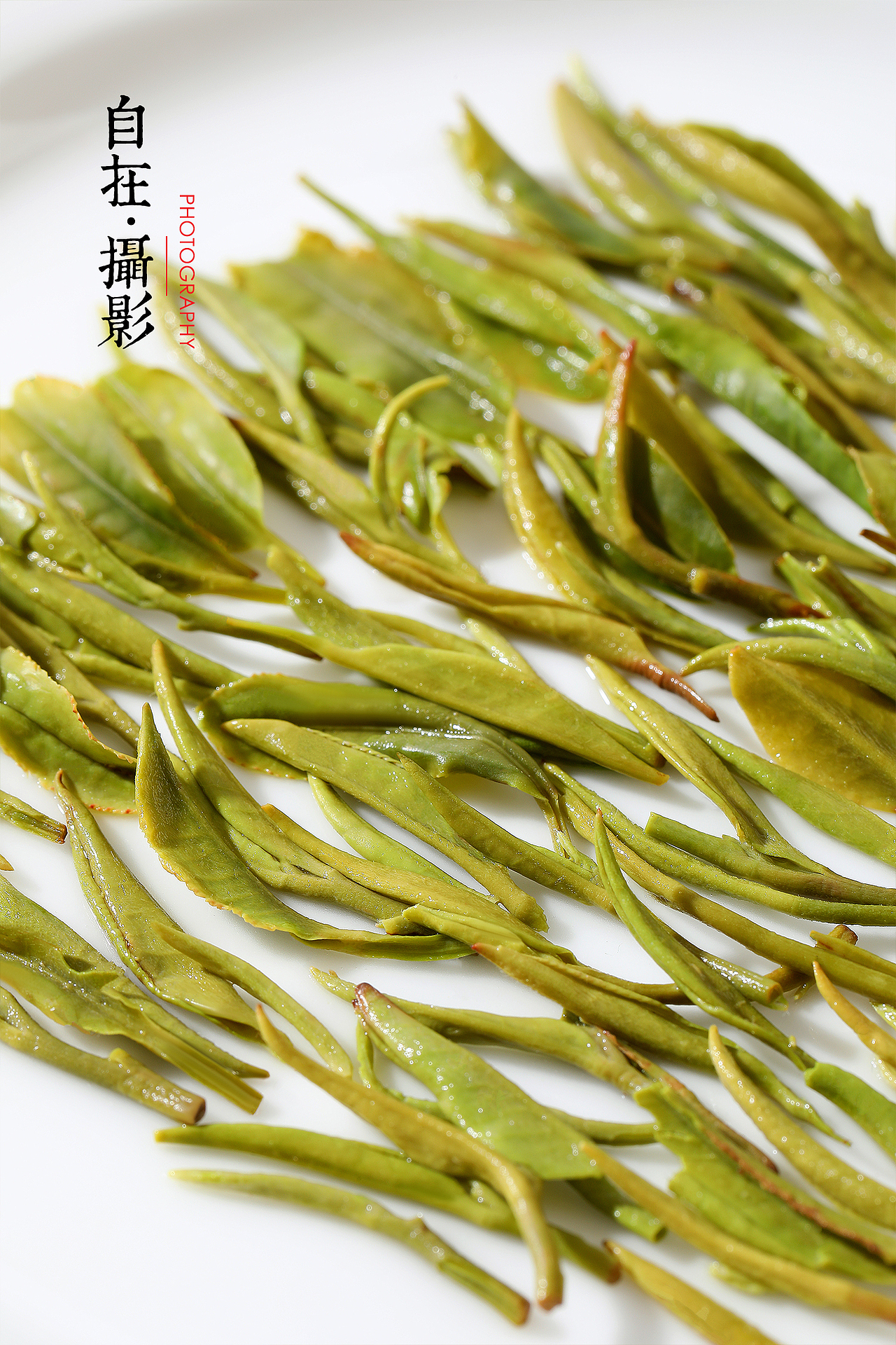 【茶品类合集】碧螺春|信阳毛尖|蜜桃茶|红豆薏米茶