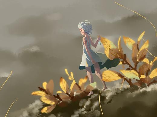 2019总结,2020新的启程