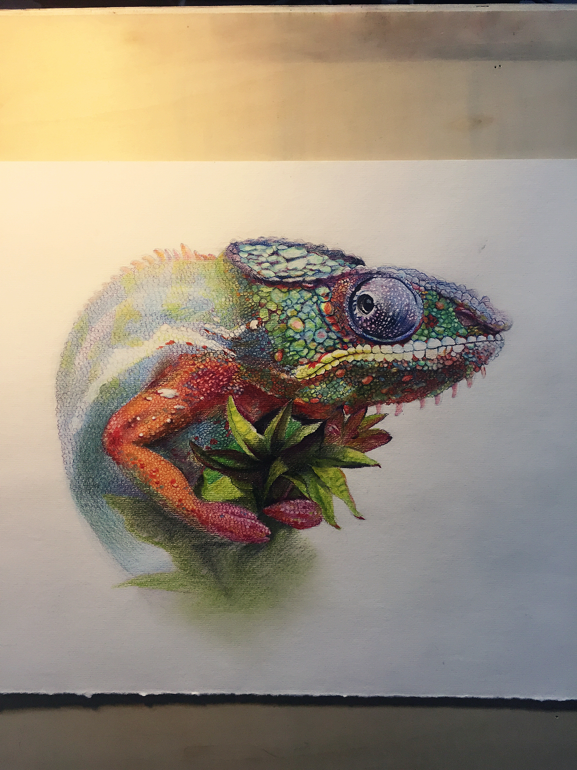 变色龙水溶彩铅步骤图