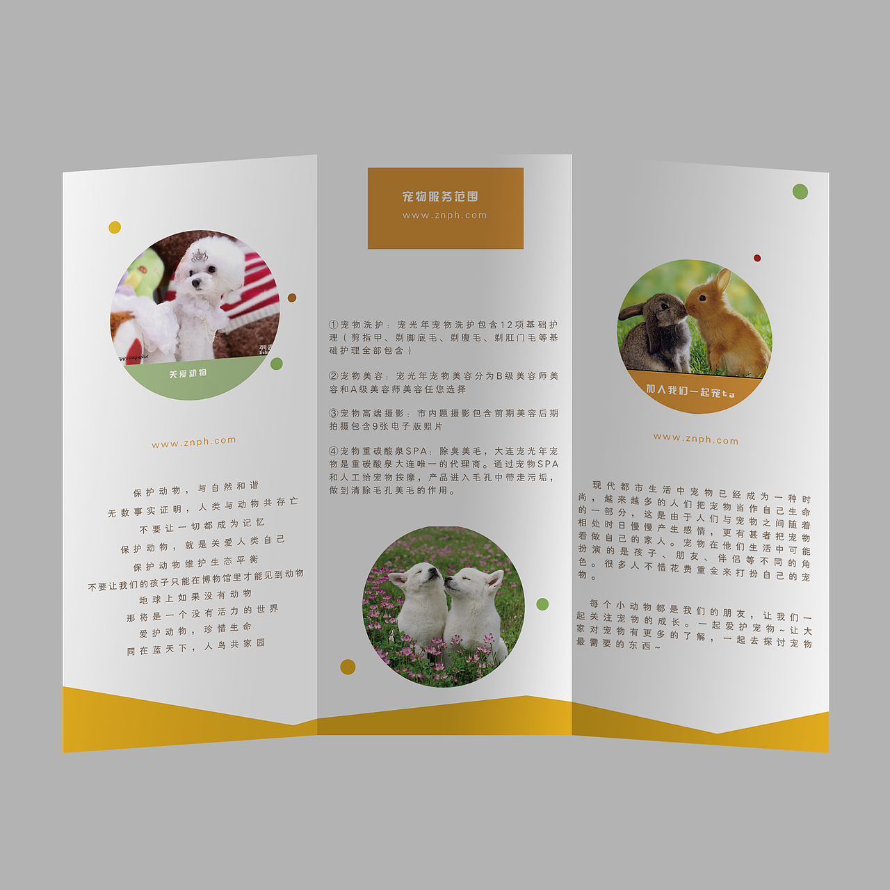 折页篇（图ZNTg3OTgzNjg=） - 宣传物料 - 站酷设计师152brightmoon原创素材 - 站酷ZCOOL