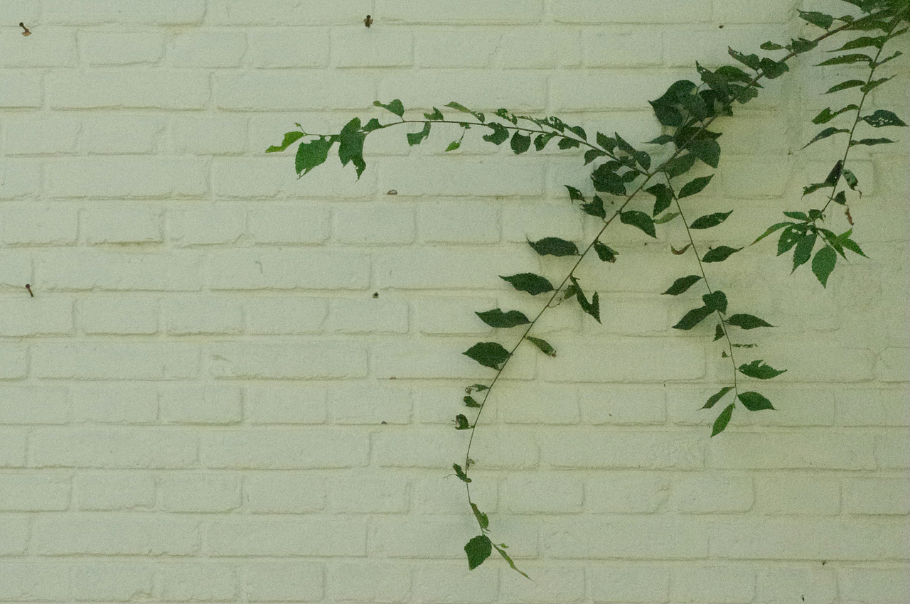 一个册子一个故事