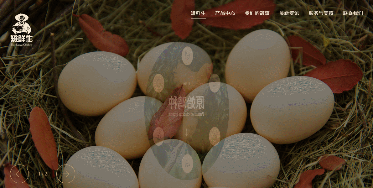 「雉鲜生」—— 赛门仕博响应式案例（图ZMTA2OTU3MTQw） - 企业官网 - 站酷设计师赛门仕博原创素材 - 站酷ZCOOL