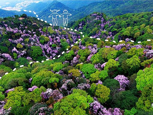 绿色基金会-2019年深圳花展展位设计