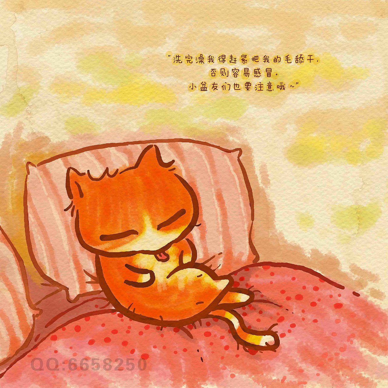 《猫言猫语前传第一季》当毛毛还是一只真猫的时候